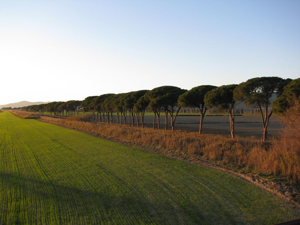 Appartamenti Il Granaio Marina di Grosseto Exteriér fotografie