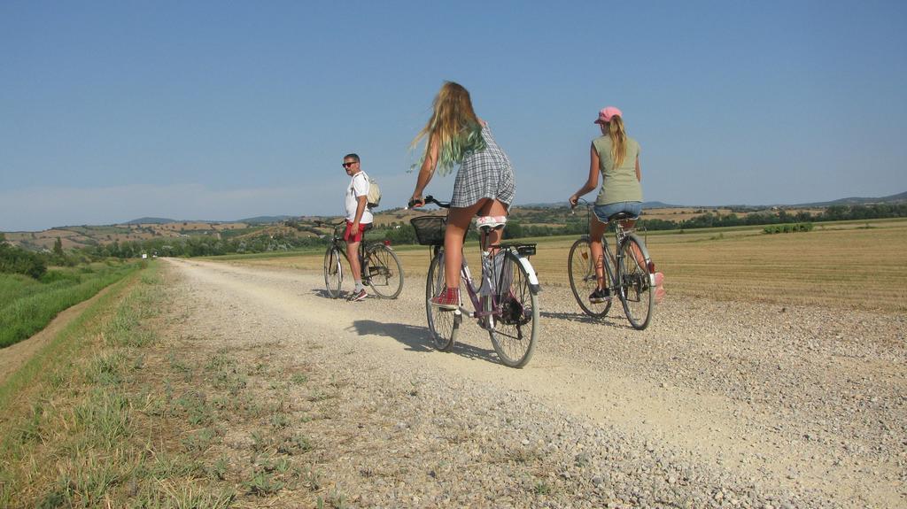 Appartamenti Il Granaio Marina di Grosseto Exteriér fotografie
